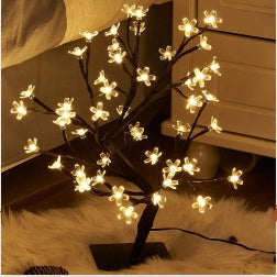 Bedroom Light